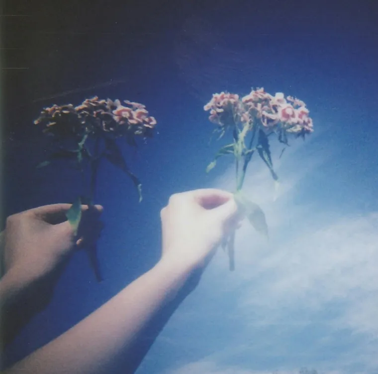 Hands holding flowers up to a bright blue sky at Bloom